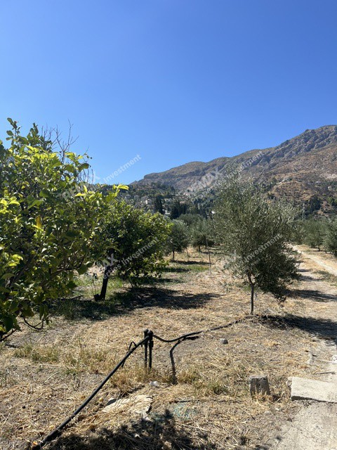 Οικόπεδο 10.350 τ.μ. προς πώληση, Κάτω Λουτρό