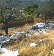 Οικόπεδο 423 τ.μ. για πώληση, Ν. Καβάλας, Θάσος-thumb-2