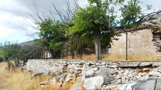 Οικόπεδο 423 τ.μ. για πώληση, Ν. Καβάλας, Θάσος-thumb-5