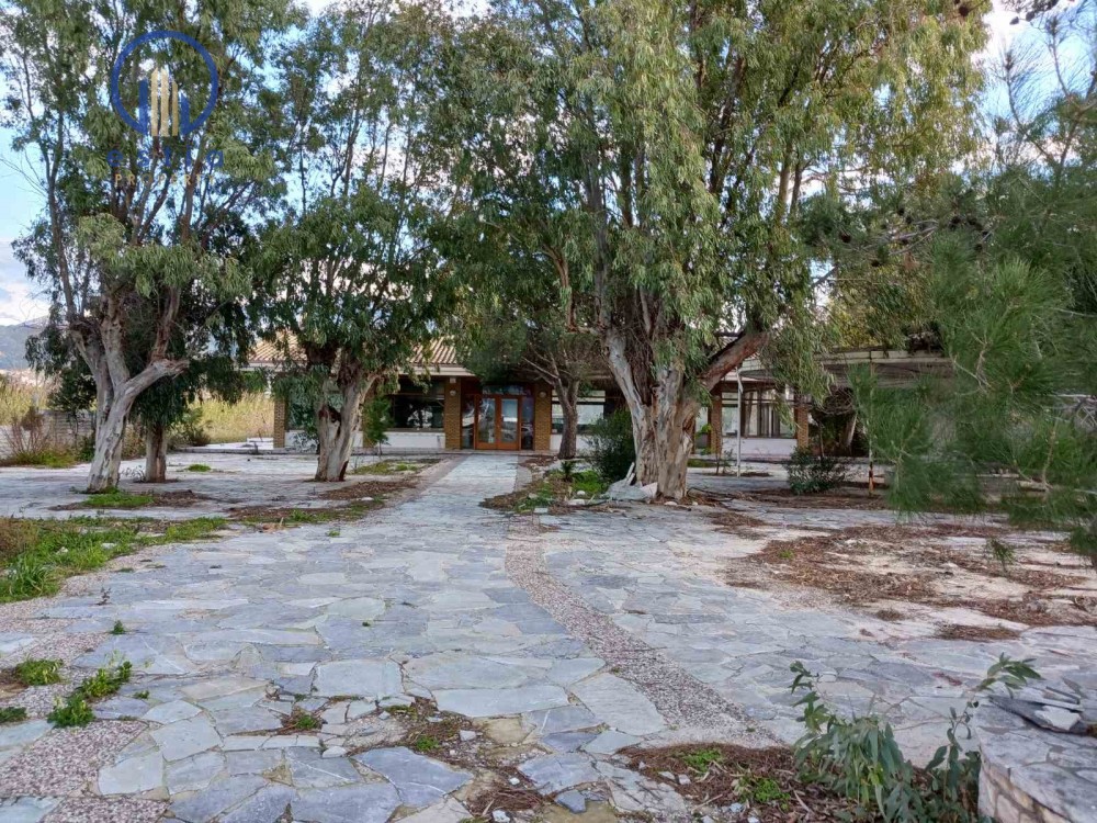 Κατάστημα 200 τ.μ. προς ενοικίαση, Καστελλόκαμπος