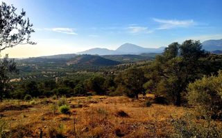Οικόπεδο 5.000 τ.μ. προς πώληση, Σίβας-thumb-9