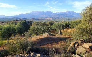 Οικόπεδο 5.000 τ.μ. προς πώληση, Σίβας-thumb-5
