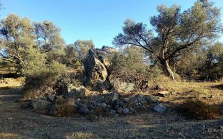 Οικόπεδο 5.000 τ.μ. για πώληση