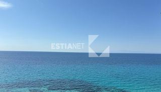 Αγροτεμάχια 4.631 τ.μ. για πώληση