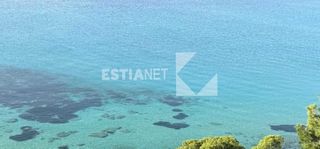 Αγροτεμάχια 4.631 τ.μ. για πώληση, Χαλκιδική, Κασσάνδρα-thumb-1