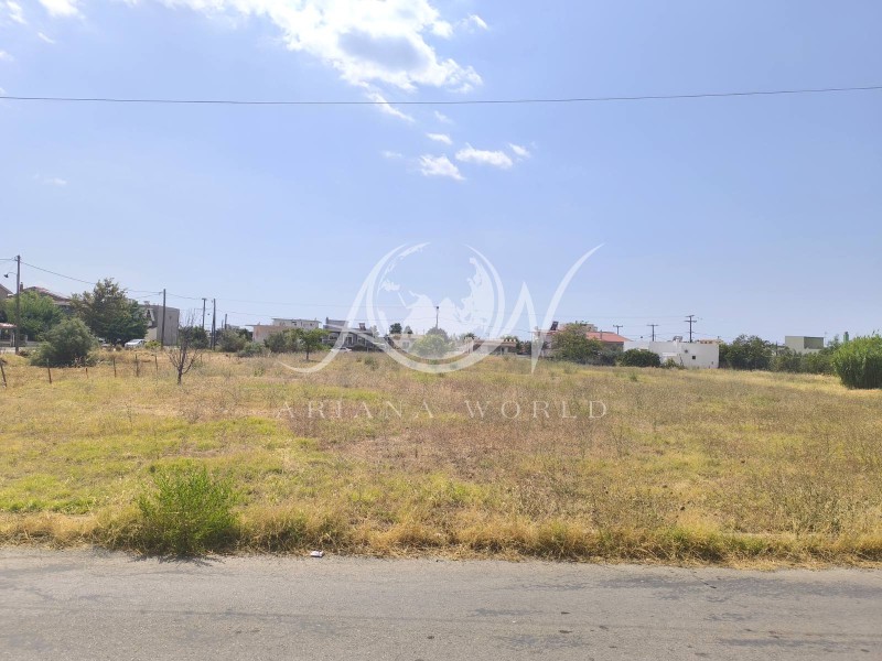 Οικόπεδο 4.200 τ.μ. προς πώληση, Απαλός