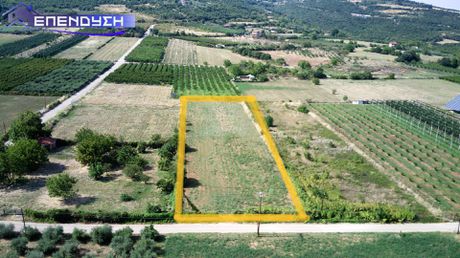 Αγροτεμάχια 5.400 τ.μ. πρός πώληση
