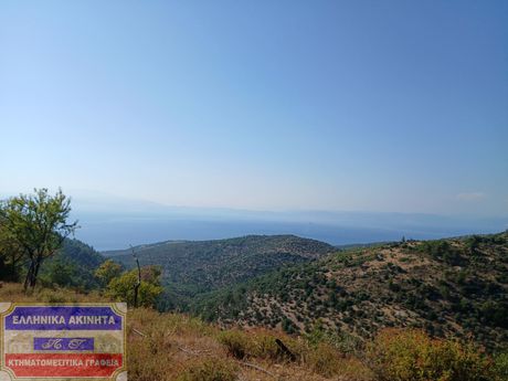 Αγροτεμάχια 8.000 τ.μ. πρός πώληση