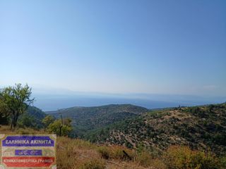 Αγροτεμάχια 8.000 τ.μ. για πώληση