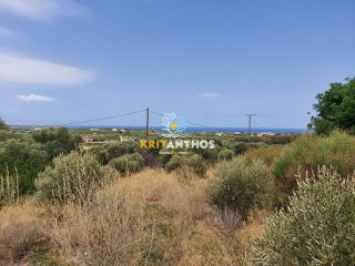 Οικόπεδο 1.800 τ.μ. για πώληση, Ν. Ρεθύμνου, Αρκάδι-thumb-1