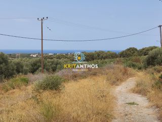 Οικόπεδο 1.800 τ.μ. για πώληση, Ν. Ρεθύμνου, Αρκάδι-thumb-2