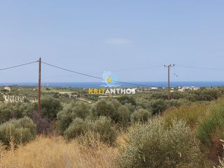 Οικόπεδο 1.800 τ.μ. για πώληση, Ν. Ρεθύμνου, Αρκάδι-thumb-6