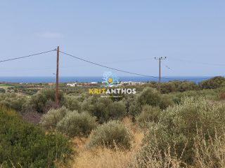 Οικόπεδο 1.800 τ.μ. για πώληση, Ν. Ρεθύμνου, Αρκάδι-thumb-7