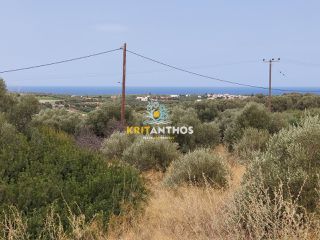 Οικόπεδο 1.800 τ.μ. για πώληση, Ν. Ρεθύμνου, Αρκάδι-thumb-8