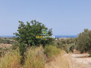 Οικόπεδο 1.800 τ.μ. για πώληση, Ν. Ρεθύμνου, Αρκάδι-thumb-9