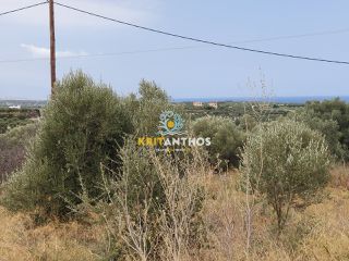 Οικόπεδο 1.800 τ.μ. για πώληση, Ν. Ρεθύμνου, Αρκάδι-thumb-12