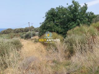 Οικόπεδο 1.800 τ.μ. για πώληση, Ν. Ρεθύμνου, Αρκάδι-thumb-14