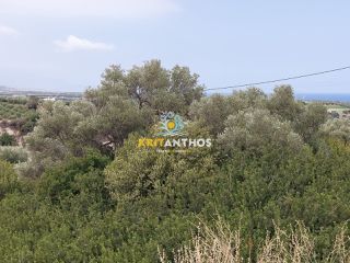 Οικόπεδο 1.800 τ.μ. για πώληση, Ν. Ρεθύμνου, Αρκάδι-thumb-17