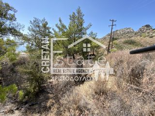 Αγροτεμάχια 10.000 τ.μ. για πώληση