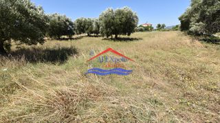 Αγροτεμάχια 3.656 τ.μ. για πώληση