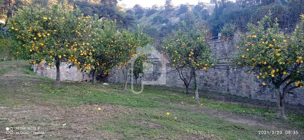 Οικόπεδο 4.000 τ.μ. πρός πώληση, Αιτωλοακαρνανία, Χάλκεια