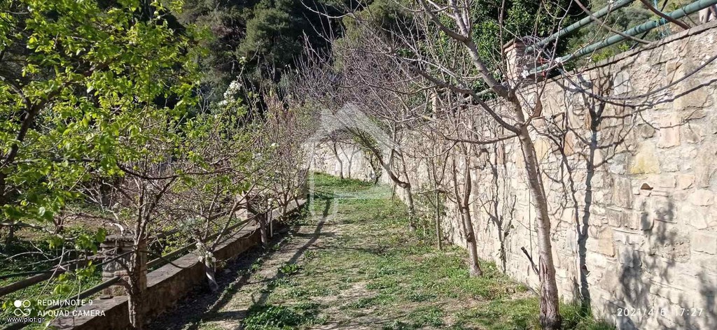 Οικόπεδο 4.000 τ.μ. πρός πώληση, Αιτωλοακαρνανία, Χάλκεια