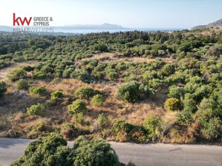 Αγροτεμάχια 6.576,76 τ.μ. για πώληση