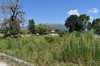 Οικόπεδο 575 τ.μ. προς πώληση, Κατσικάς-thumb-19