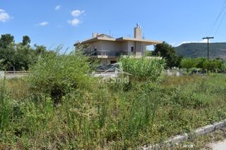 Οικόπεδο 575 τ.μ. προς πώληση, Κατσικάς-thumb-20