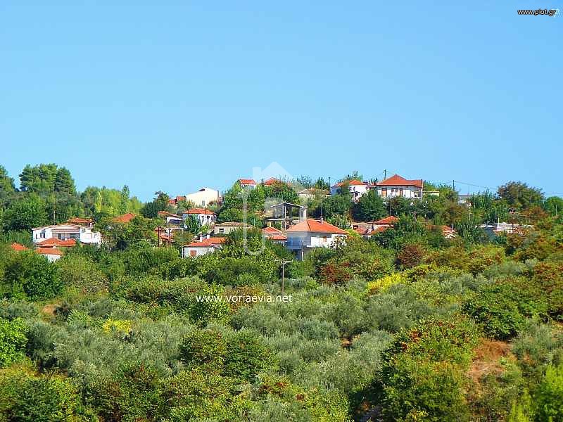 Οικόπεδο 252 τ.μ. προς πώληση, Αβγαριά