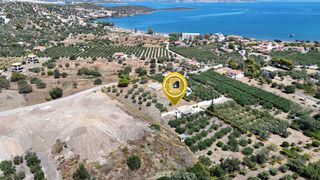 Οικόπεδο 4.650 τ.μ. για πώληση