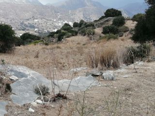 Αγροτεμάχια 15.000 τ.μ. για πώληση