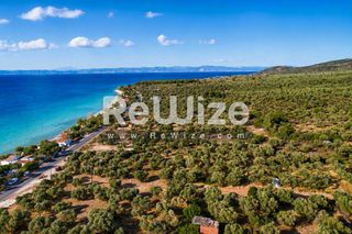 Αγροτεμάχια 2.050 τ.μ. για πώληση, Ν. Καβάλας, Θάσος-thumb-2