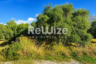 Αγροτεμάχια 2.050 τ.μ. για πώληση, Ν. Καβάλας, Θάσος-thumb-6