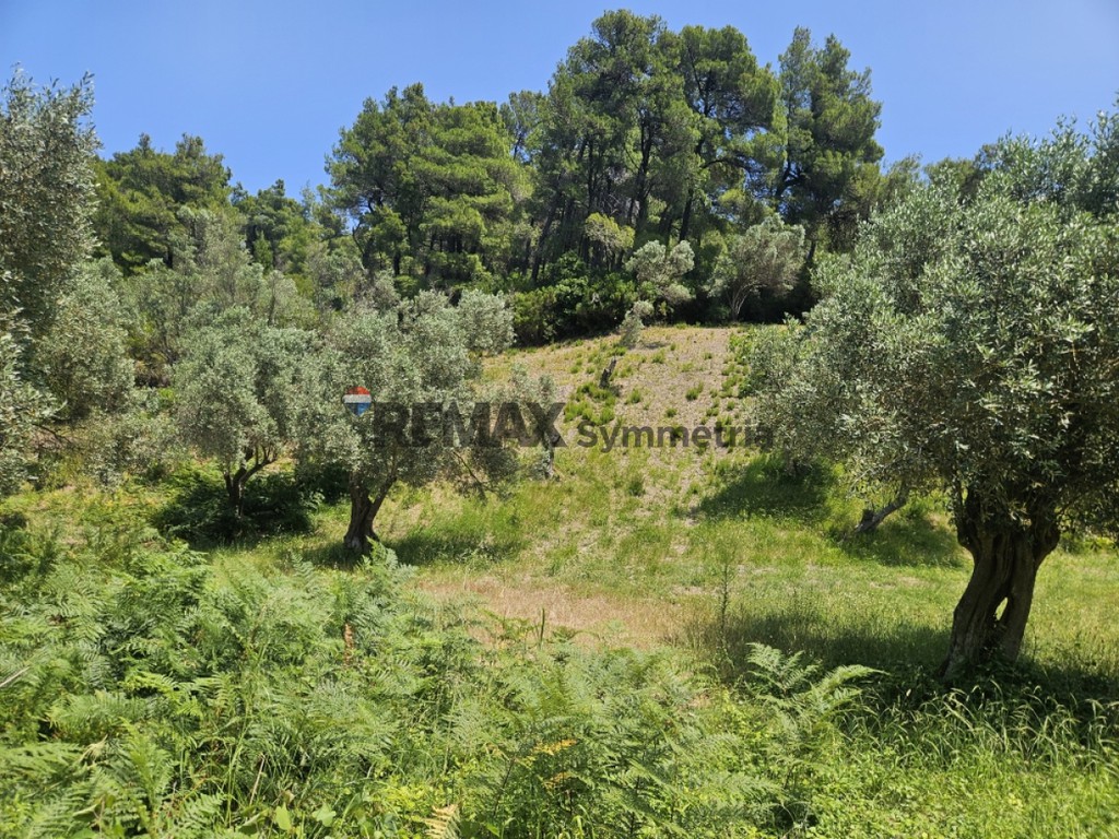 Αγροτεμάχια 5.758 τ.μ. πρός πώληση, Σποράδες, Σκιάθος