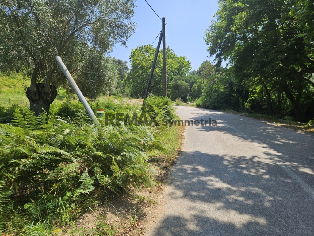 Αγροτεμάχια 5.758 τ.μ. πρός πώληση, Σποράδες, Σκιάθος