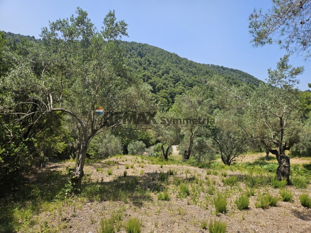 Αγροτεμάχια 5.758 τ.μ. πρός πώληση, Σποράδες, Σκιάθος