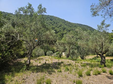 Αγροτεμάχια 5.758 τ.μ. πρός πώληση