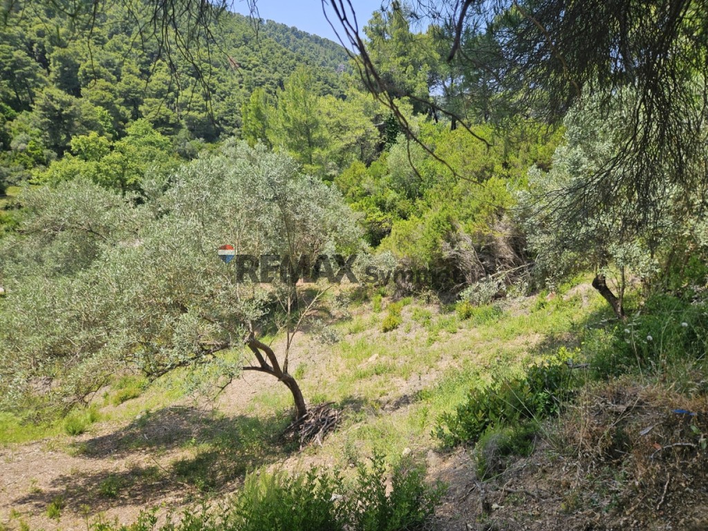 Αγροτεμάχια 5.758 τ.μ. πρός πώληση, Σποράδες, Σκιάθος