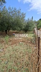 Αγροτεμάχια 636 τ.μ. για πώληση, Ν. Λευκάδας, Λευκάδα-thumb-8
