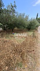 Αγροτεμάχια 636 τ.μ. για πώληση, Ν. Λευκάδας, Λευκάδα-thumb-7