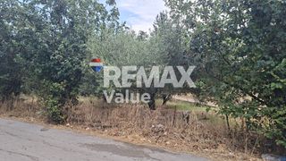 Αγροτεμάχια 636 τ.μ. για πώληση, Ν. Λευκάδας, Λευκάδα-thumb-4