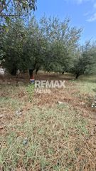 Αγροτεμάχια 636 τ.μ. για πώληση