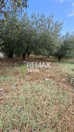 Αγροτεμάχια 636 τ.μ. για πώληση, Ν. Λευκάδας, Λευκάδα