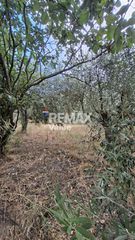 Αγροτεμάχια 636 τ.μ. για πώληση, Ν. Λευκάδας, Λευκάδα-thumb-13