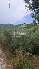 Αγροτεμάχια 636 τ.μ. για πώληση, Ν. Λευκάδας, Λευκάδα-thumb-12
