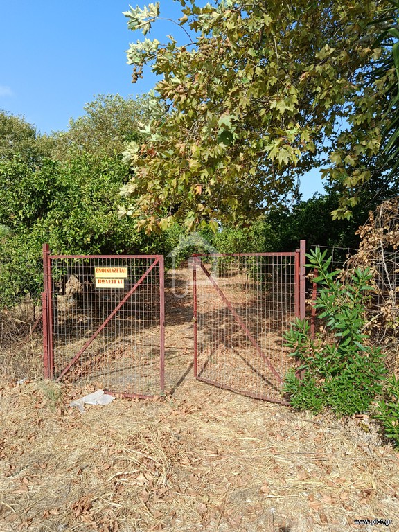 Αγροτεμάχια 1.982 τ.μ. προς ενοικίαση, Αχαΐα, Διακοπτό