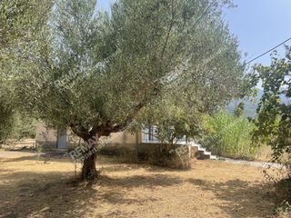 Μονοκατοικία 66 τ.μ. για πώληση, Μεσσηνία, Άριο-thumb-14