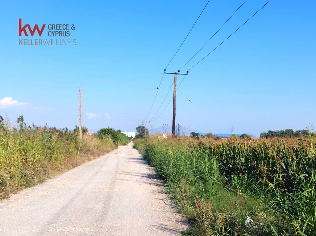 Αγροτεμάχια 14.970 τ.μ. προς πώληση, Εχέδωρος