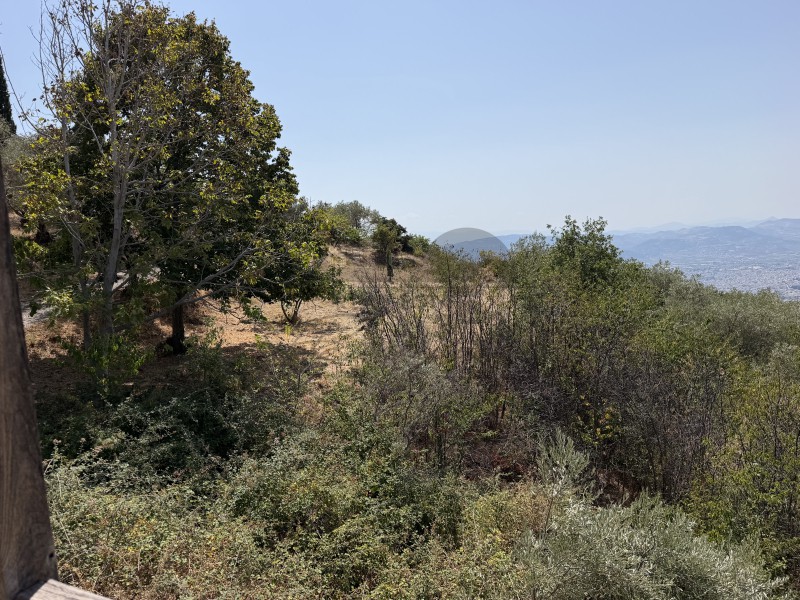 Μονοκατοικία 51 τ.μ. πρός πώληση, Μαγνησία, Πορταριά